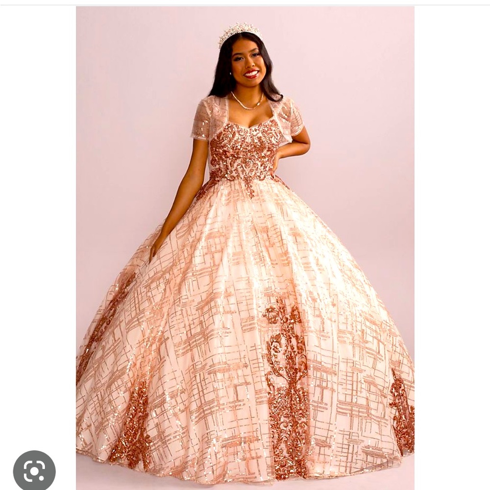 Gorgeous Prom or Quincierra Fifteen Roses Ball Gown